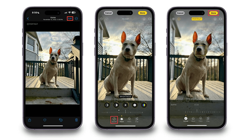 chụp ảnh iphone